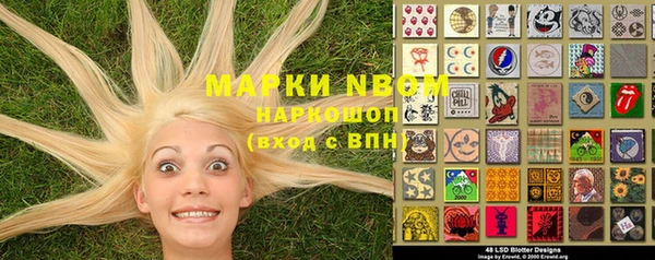 PSILOCYBIN Алзамай