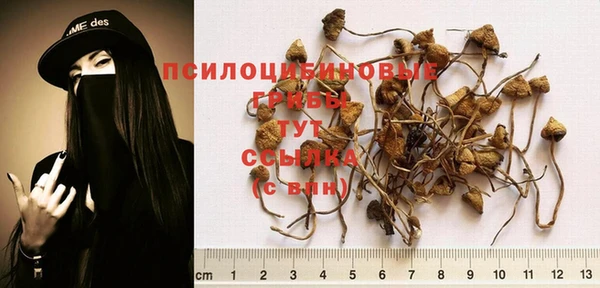 кокаин премиум Арсеньев