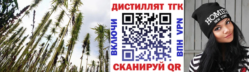 Дистиллят ТГК вейп  Орлов 